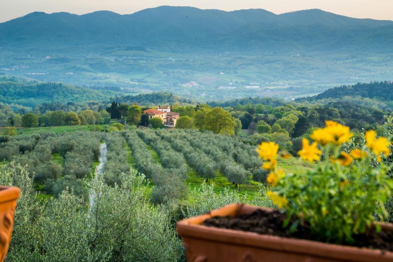 I Trebbiali Bed and Breakfast Reggello Buitenkant foto